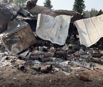 News-story image related to Shadow and the Spokane wildfire evacuation
