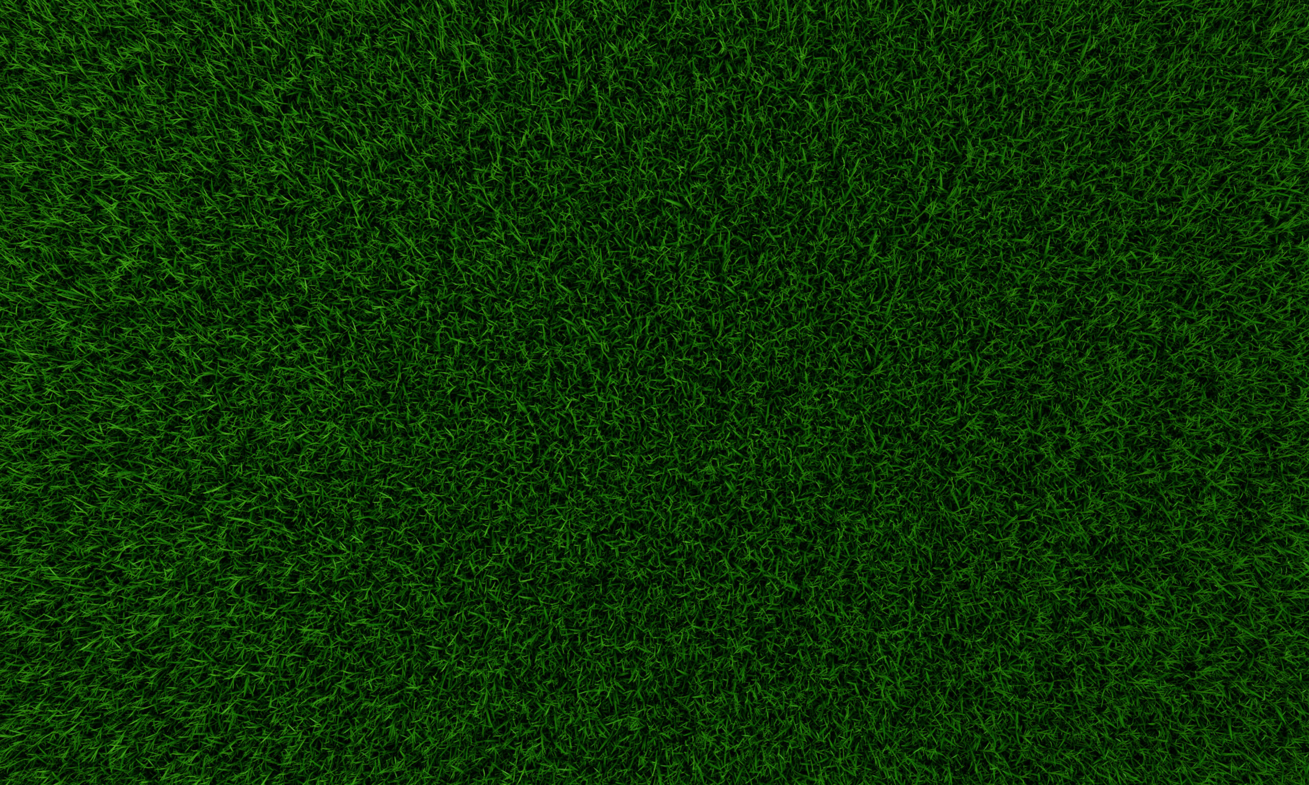 Grass Texture